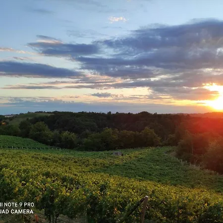 Lägenhet Oasi Del Monferrato - Rosso *